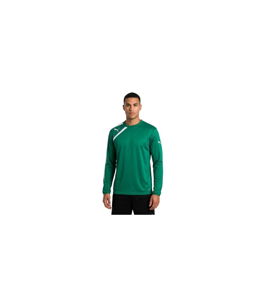 Mens Spirit Regular Sweatshirt Green Puma-1