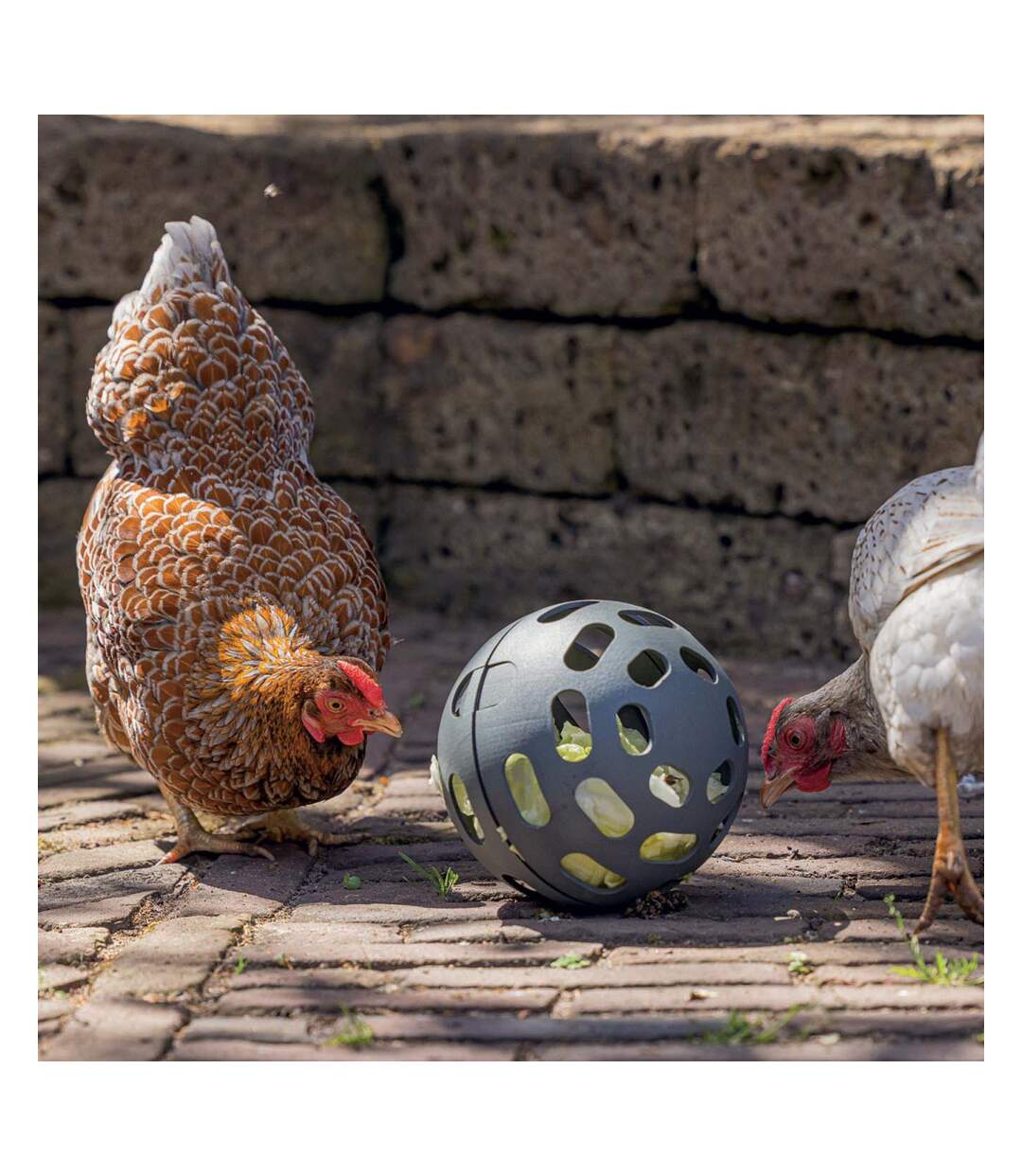 Balle à friandises pour poules 15 cm