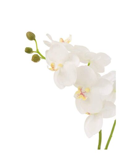 Fleur Artificielle Déco Orchidée en Terre 54cm Blanc