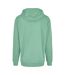 Build Your Brand Mens Heavy Pullover Hoodie (Neo Mint)