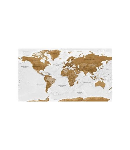 Papier Peint XXL World Map : White Oceans II 280x500cm