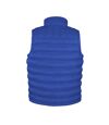 Result Mens Ice Bird Padded Bodywarmer / Gilet Jacket (Royal)
