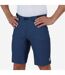 Cuissard De Cyclisme Ostiglia Homme Bleu Bicycle Line-4