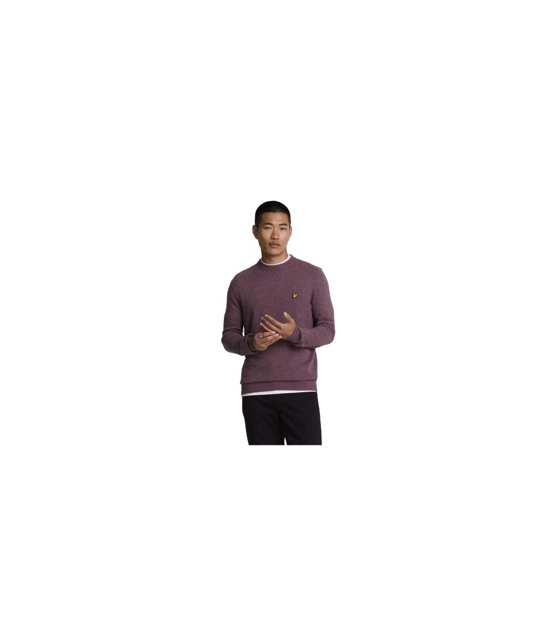 Pull Homme Violet Lyle & Scott-1