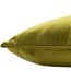 Paoletti - Housse de coussin HORTUS BEE (Olive) (50 cm x 50 cm) - UTRV2110