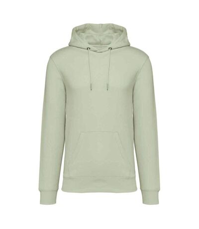 Sweat À Capuche Adulte Vert Pâle Native Spirit