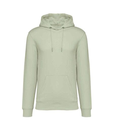 Sweat À Capuche Adulte Vert Pâle Native Spirit