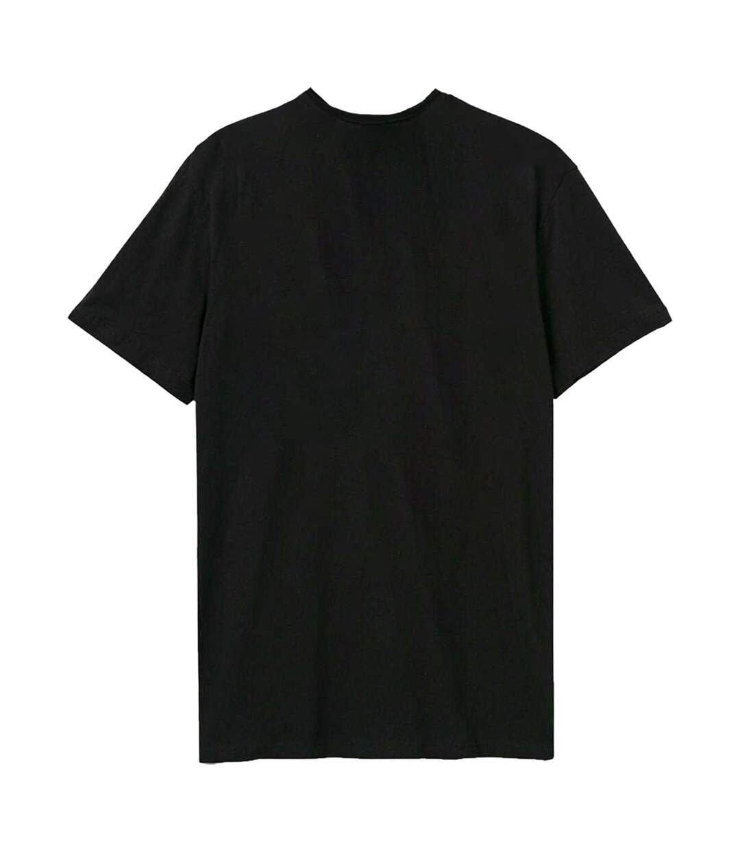 T-shirt Unisexe Adulte Baphomette Twin Temple Noir Amplified-2