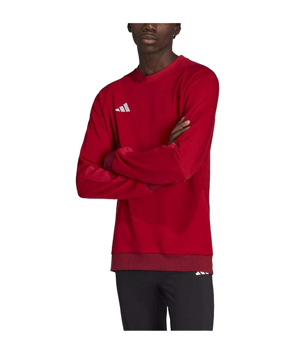Mens Tiro 23 Training Sweatshirt Team Power Red Adidas-1