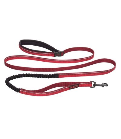 Laisse pour chiens active grand-2,5 cm-2,1 m rouge Halti