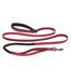 Laisse pour chiens active grand-2,5 cm-2,1 m rouge Halti-1