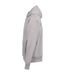 Unisex Adult Signature Heavyweight Full Zip Hoodie Natural Stone Awdis-3