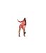 Robe Courte Manches Longues Motif/style Imprimé Serpent Femme Rouge Missy Empire-1