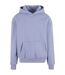 Sweat À Capuche Adulte Bleuet Givré Build Your Brand-1