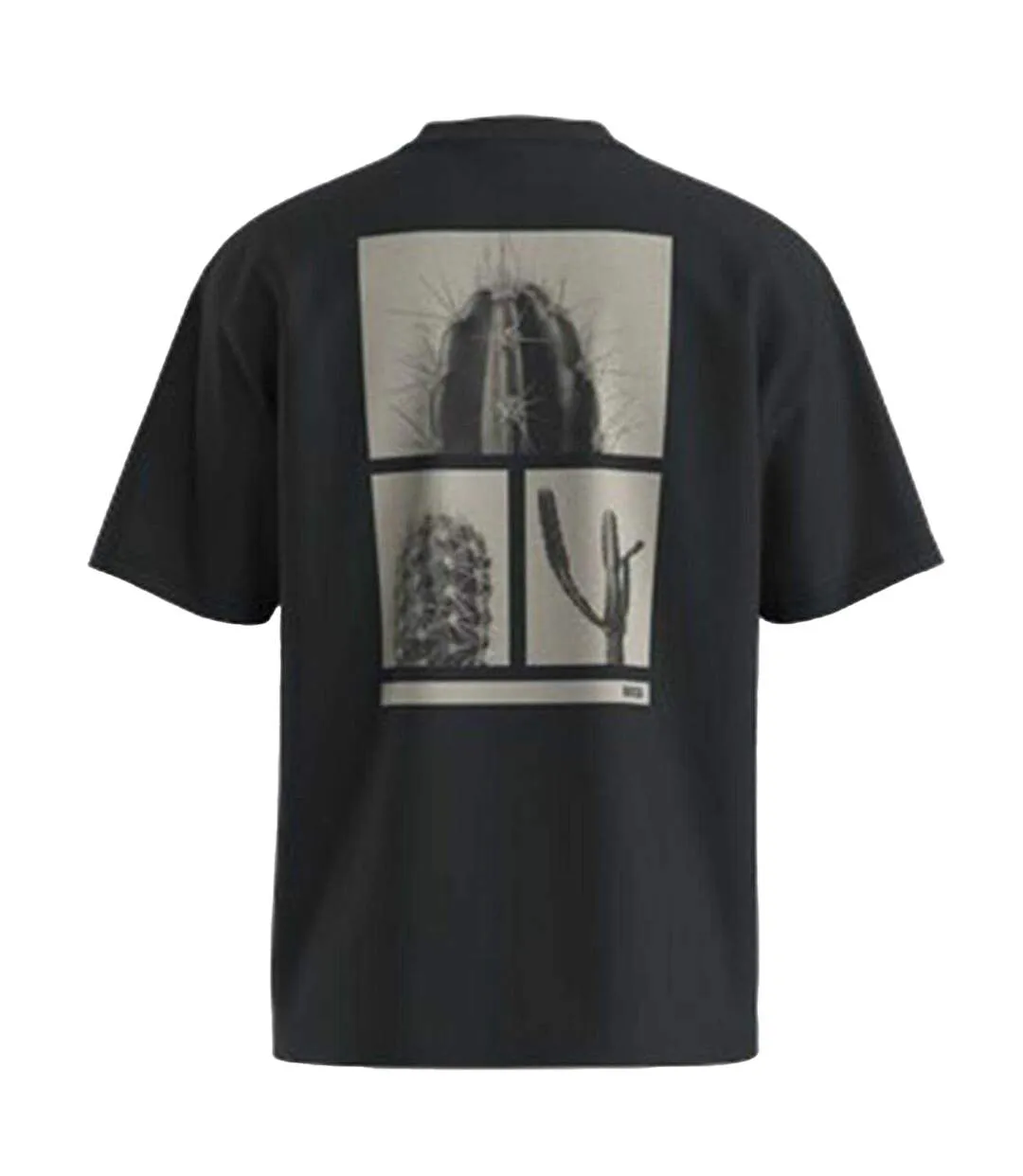 T-shirt Motif/style Cactus Et Plantes Grasses Homme Noir Boss-2