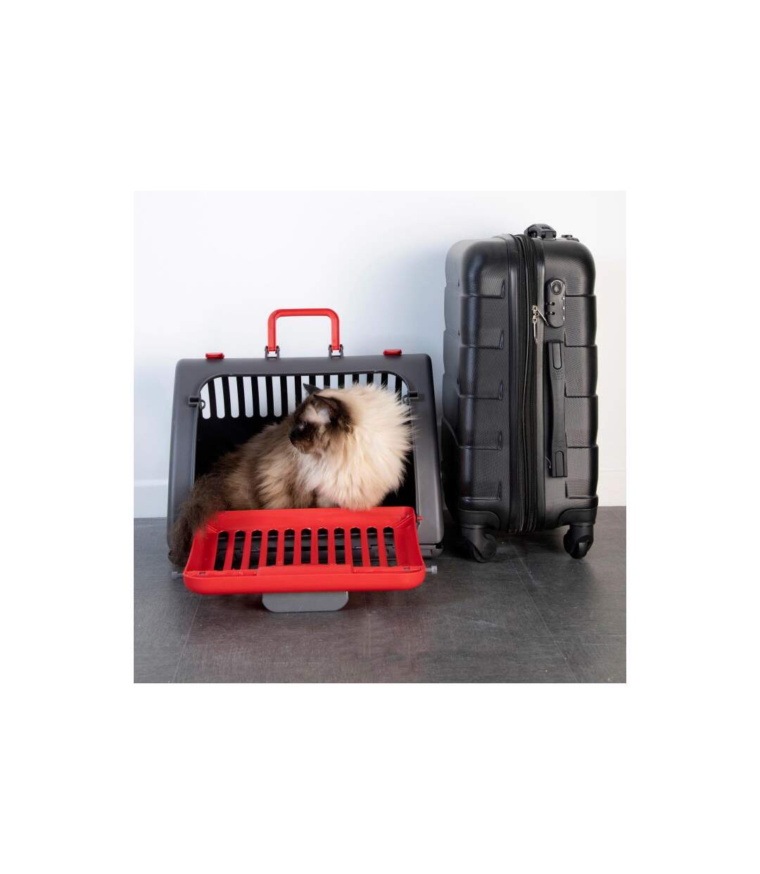 Caisse de Transport pour Chat Pliable 46cm Rouge-4