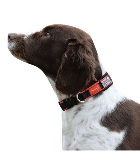 Weatherbeeta Therapy-Tec Dog Collar (Black/Red) (S) - UTWB1543