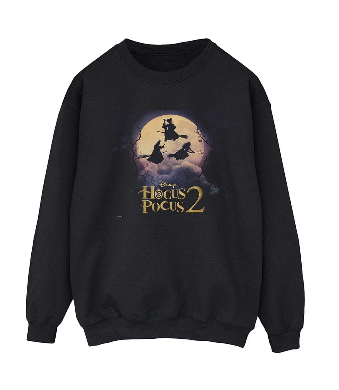 Disney - Sweat HOCUS POCUS WITCHES FLYING - Femme (Noir) - UTBI15708-1