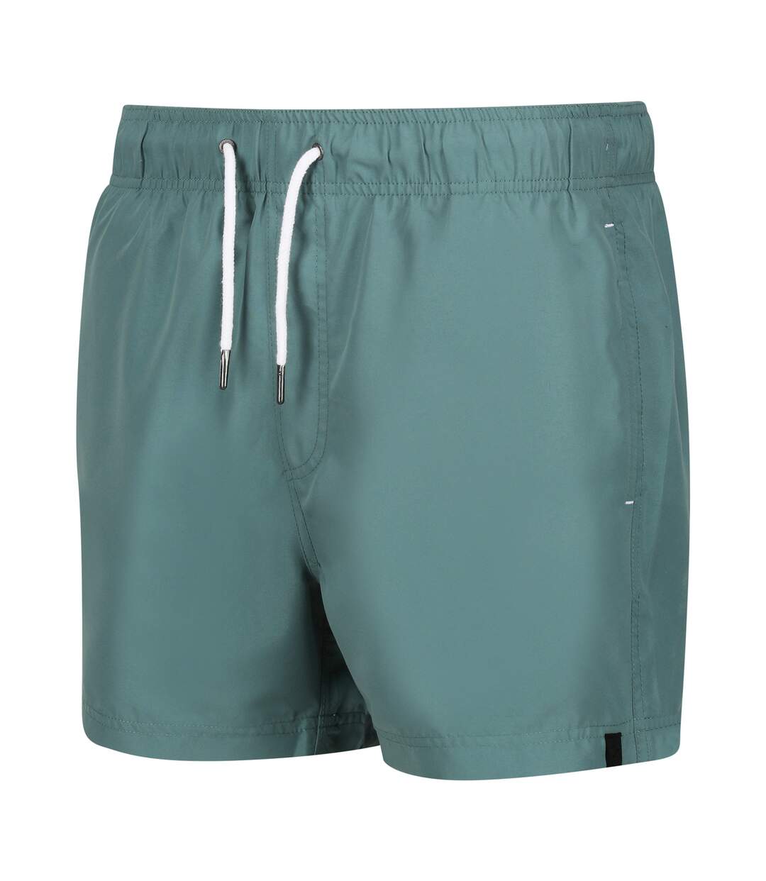 Mens mawson ii swim shorts fluro blue Regatta-1