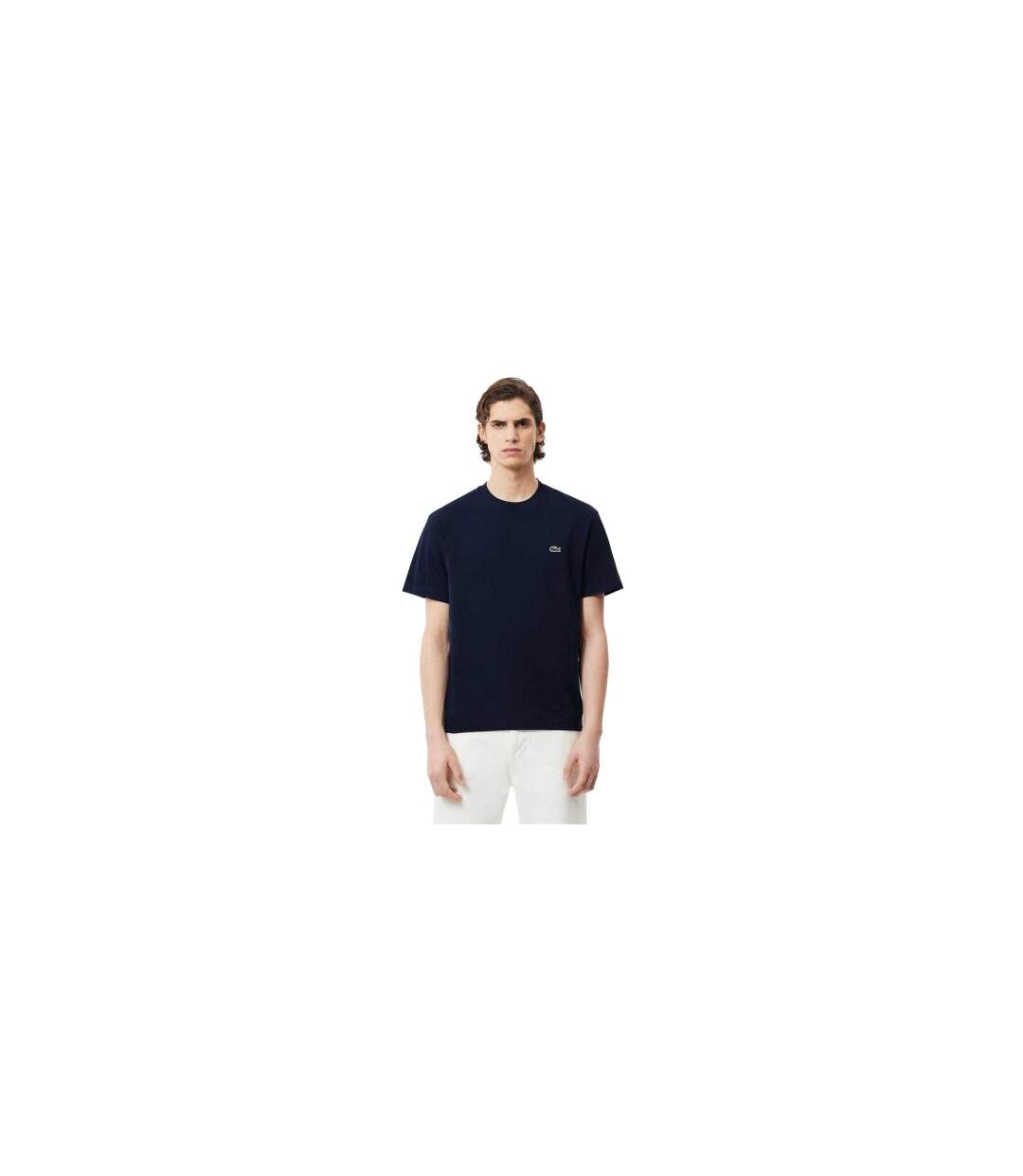 Mens Embroidered Logo T-shirt Navy Lacoste-1