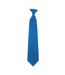 Yoko Clip-On Tie (Royal) (One Size) - UTBC1550