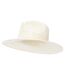 Womens/ladies Brielle Straw Hat Natural Trespass-3