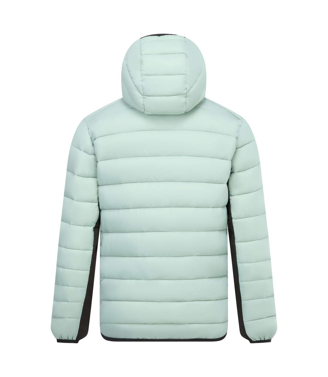 Veste Motif/style À Capuche Leedre Homme Vert Pâle Noir Regatta-3