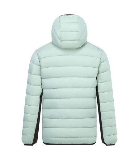 Veste Motif/style À Capuche Leedre Homme Vert Pâle Noir Regatta