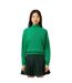 Womens/ladies Carded High-neck Large Fit Jumper Green Lacoste-4