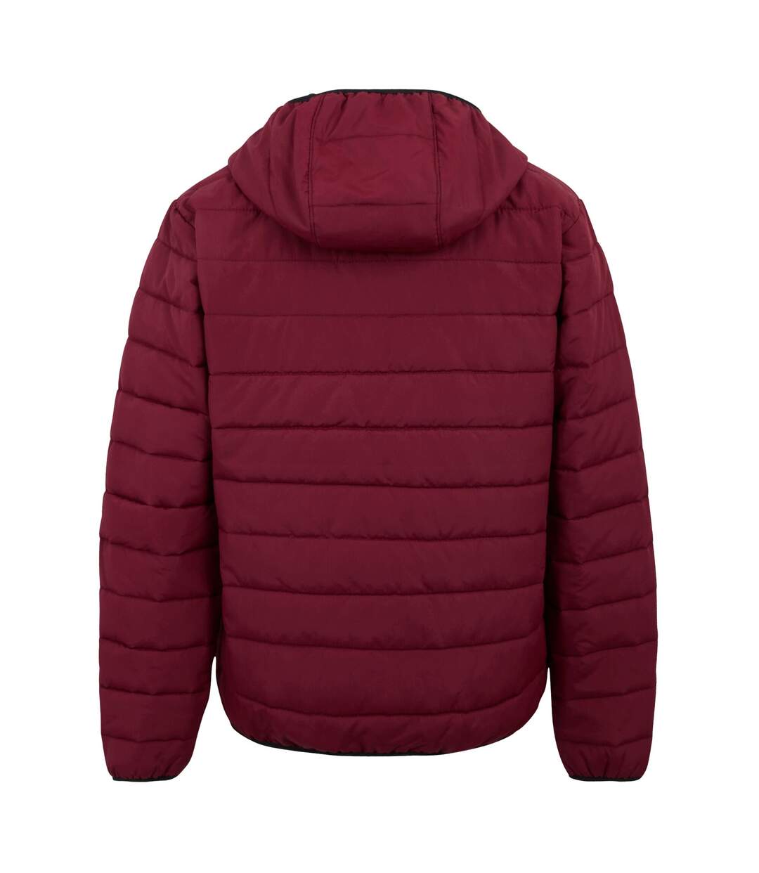 Veste Helfa Homme Pourpre Foncé Regatta-1