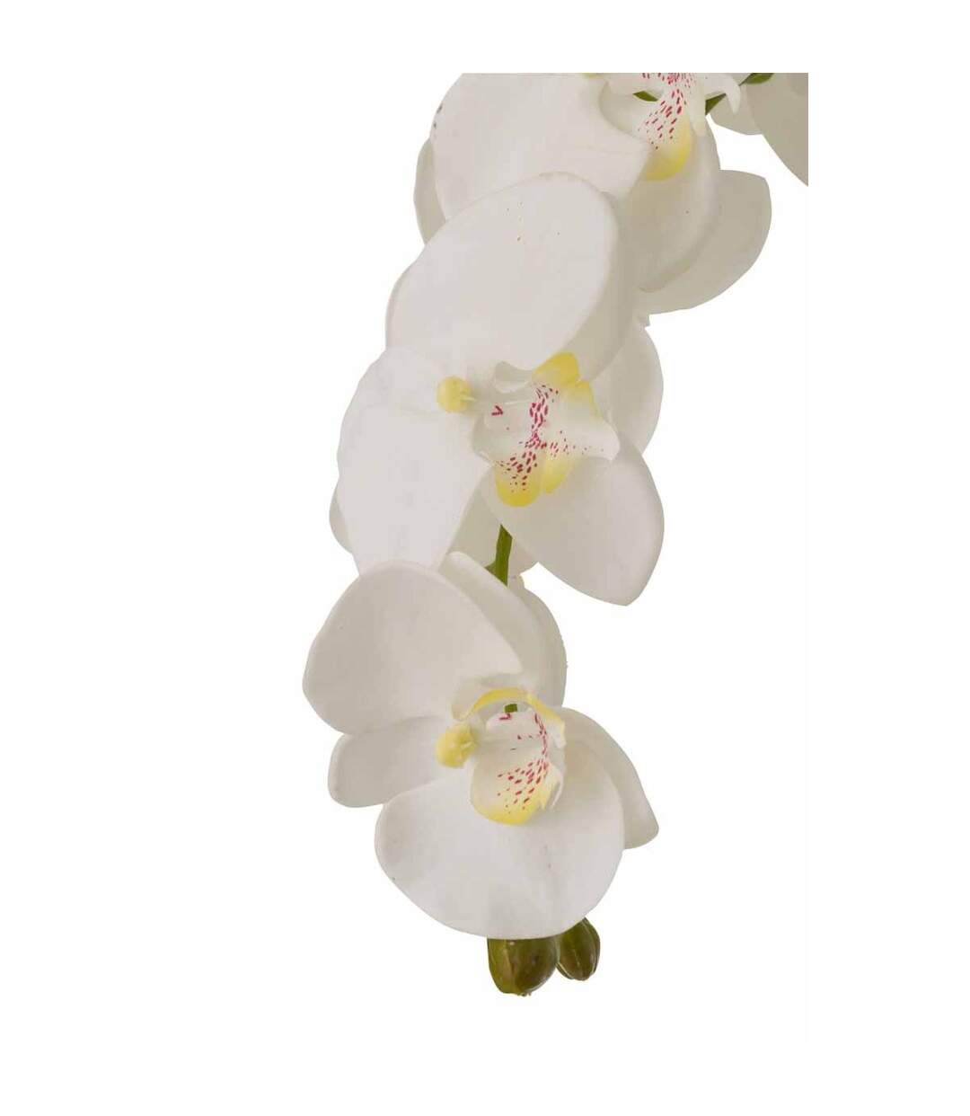 Fleur Artificielle Déco Orchidée en Terre 98cm Blanc-2