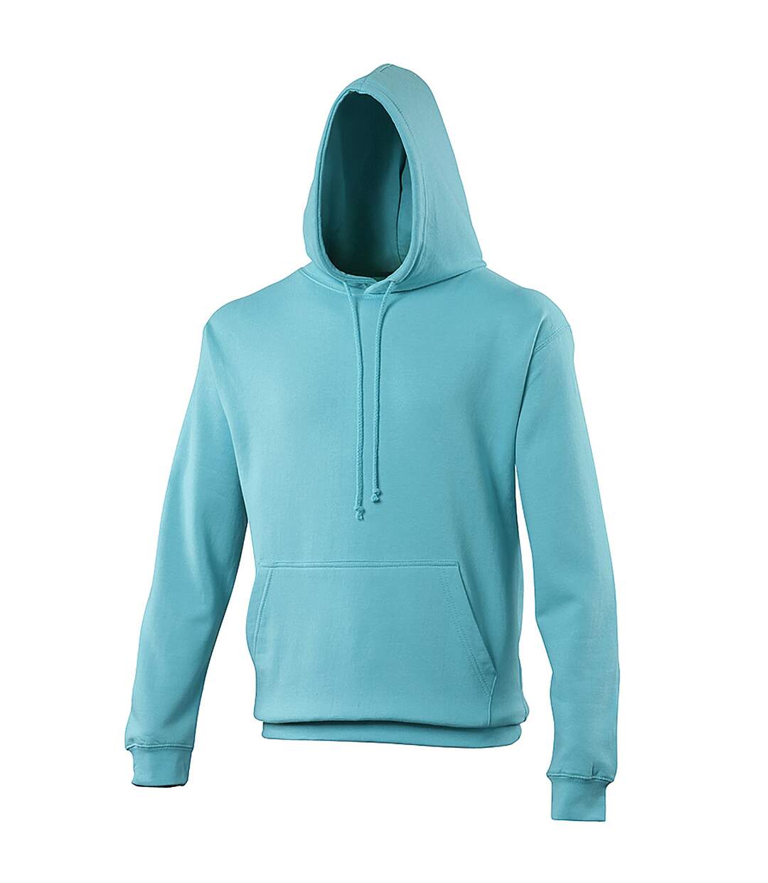 Sweat À Capuche College Adulte Bleu Ciel Awdis-1