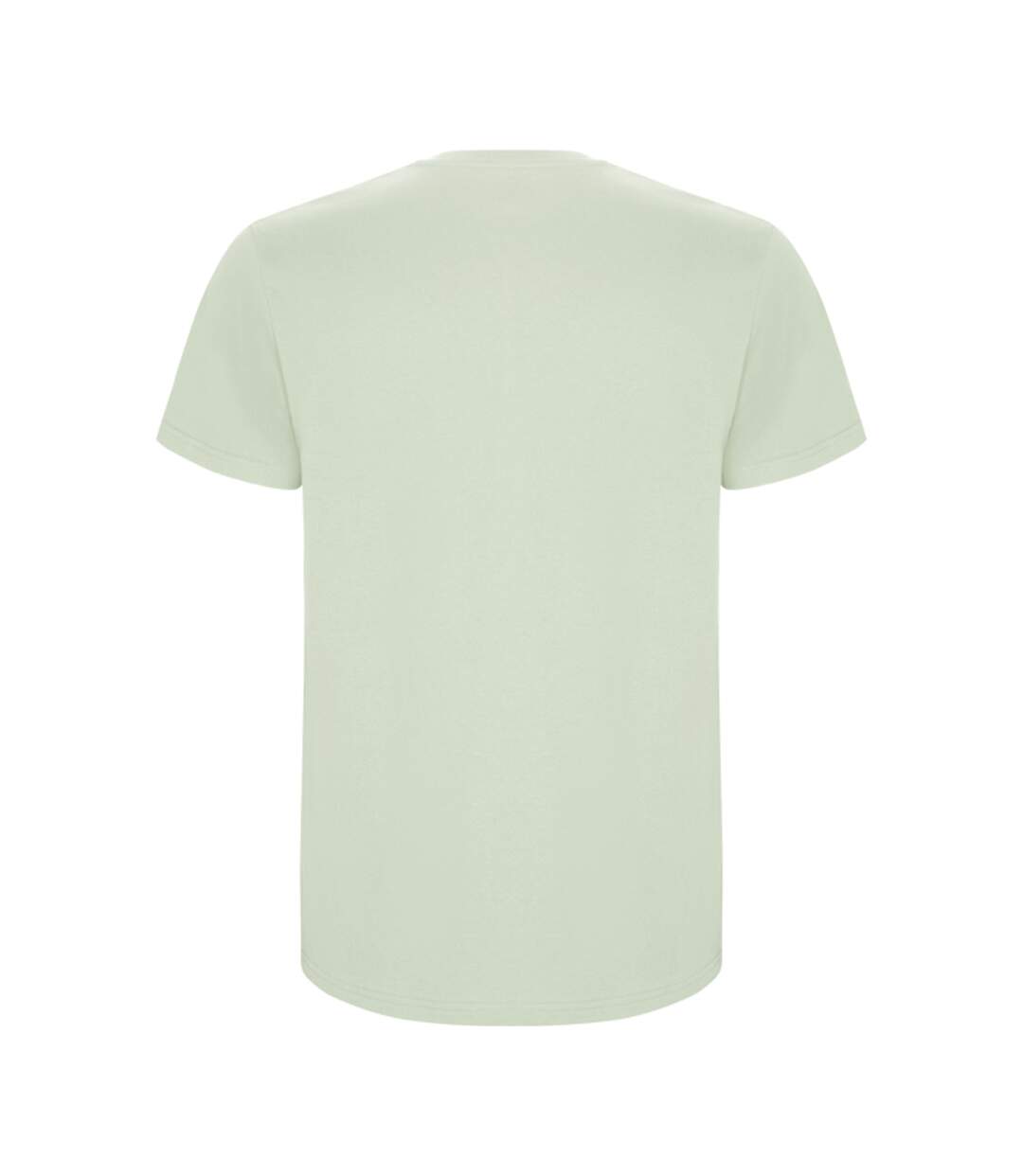T-shirt Stafford Homme Vert Brume Roly-2