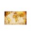 Papier Peint Old Globe II 270x450cm-2