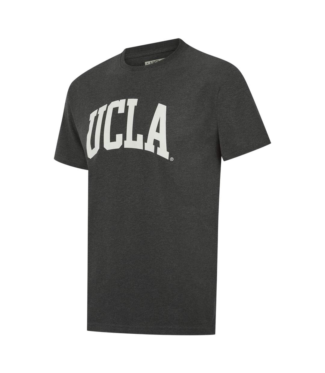 T-shirt Manches Courtes Motif/style Logo Homme Anthracite UCLA-3