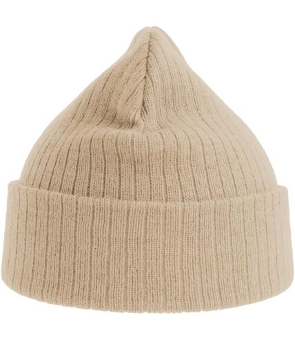 Atlantis Unisex Adult Rio Ribbed Recycled Beanie (Beige) - UTAB614