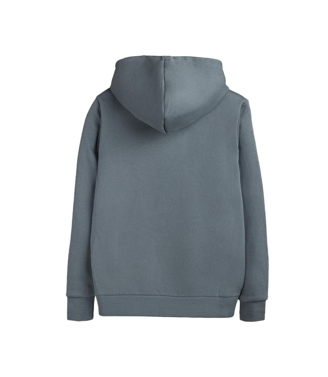 Sweat à capuche gris homme teddy smith nark hoody - l-2