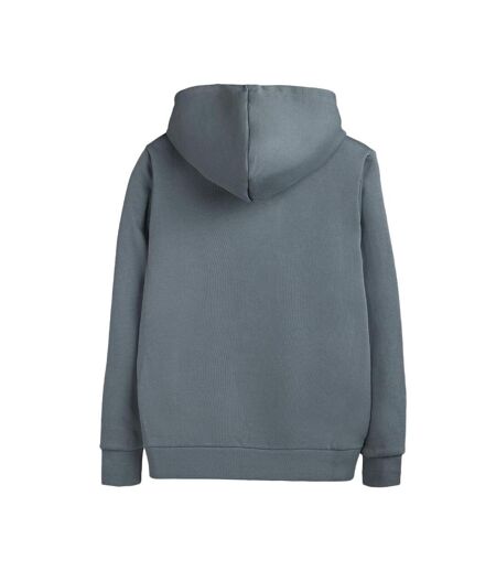 Sweat à capuche gris homme teddy smith nark hoody - l