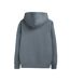 Sweat à capuche gris homme teddy smith nark hoody - l-2