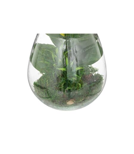 Terrarium en Verre Bota 29cm Transparent & Vert