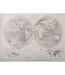 Toile murale impression Monde - L. 58 x H. 78 cm - Marron