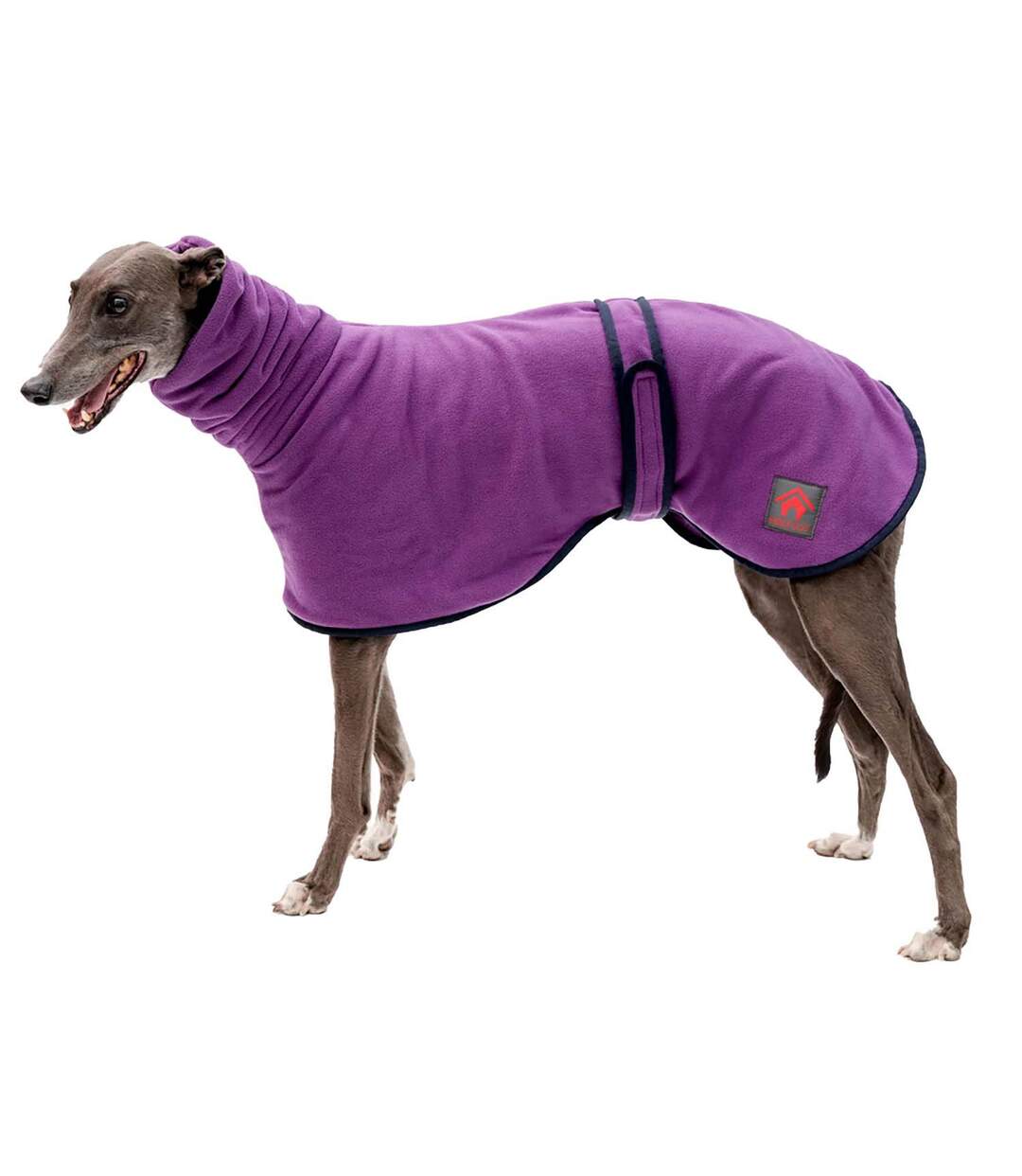 Pull pour chiens 2xl violet Firefoot