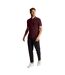 Polo homme bordeaux / gris chiné Lyle & Scott Lyle & Scott