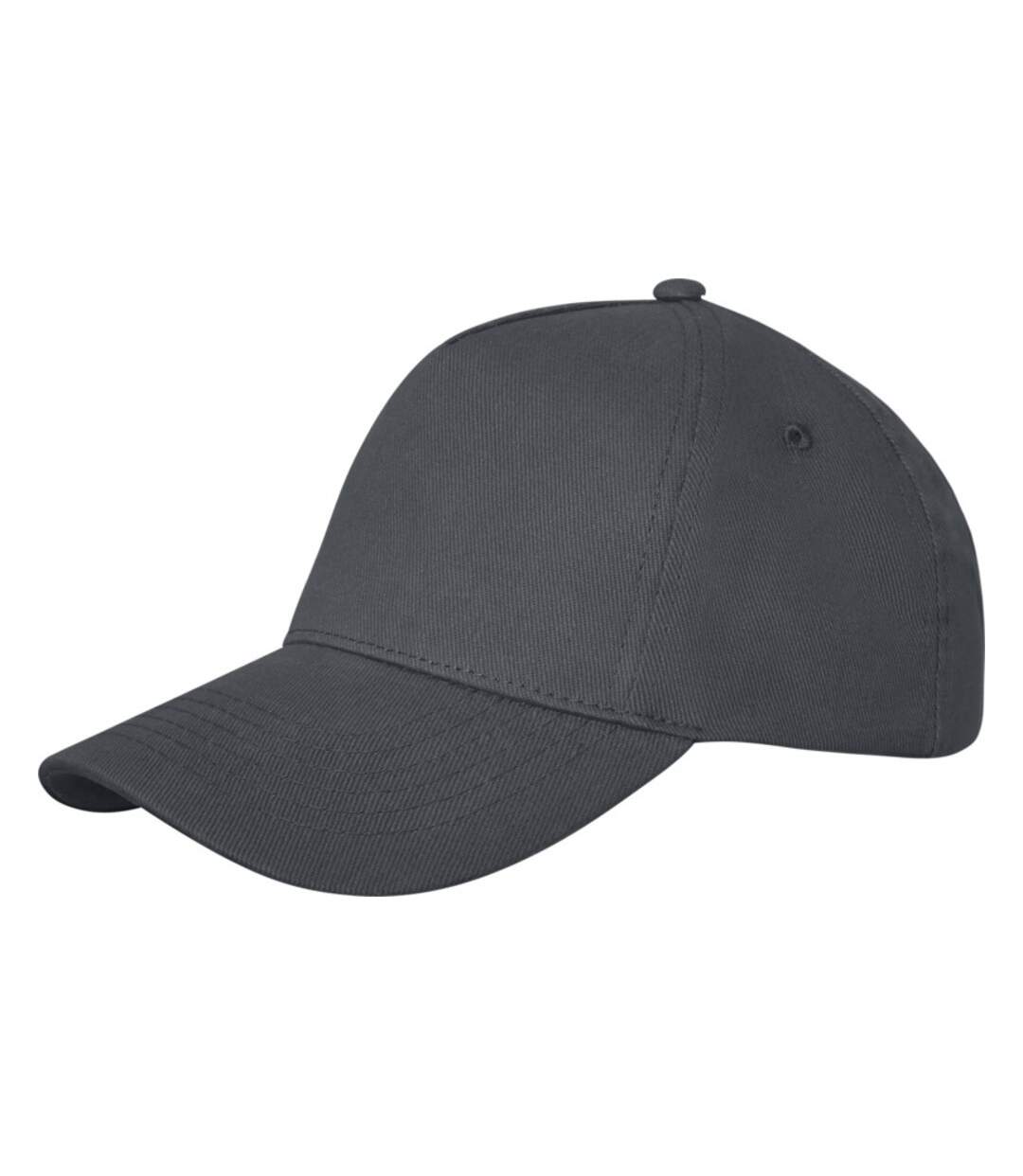 Casquette doyle adulte gris pâle Elevate-2