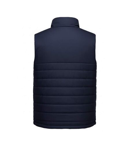 Veste Sans Manches Professional Homme Bleu Marine Portwest
