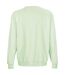 Sweat columbia adulte vert pâle SOLS