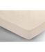 Belledorm 200 Thread Count Egyptian Cotton Fitted Sheet (Papyrus) - UTBM113