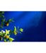 Plante Artificielle en Pot Citronnier 130cm Vert-4