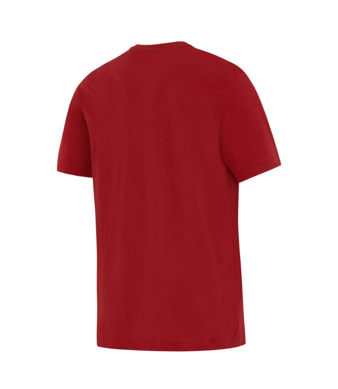 T-shirt Motif/style British & Irish Lions Homme Rouge Blanc Nike-2
