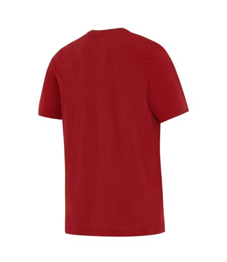 T-shirt Motif/style British & Irish Lions Homme Rouge Blanc Nike
